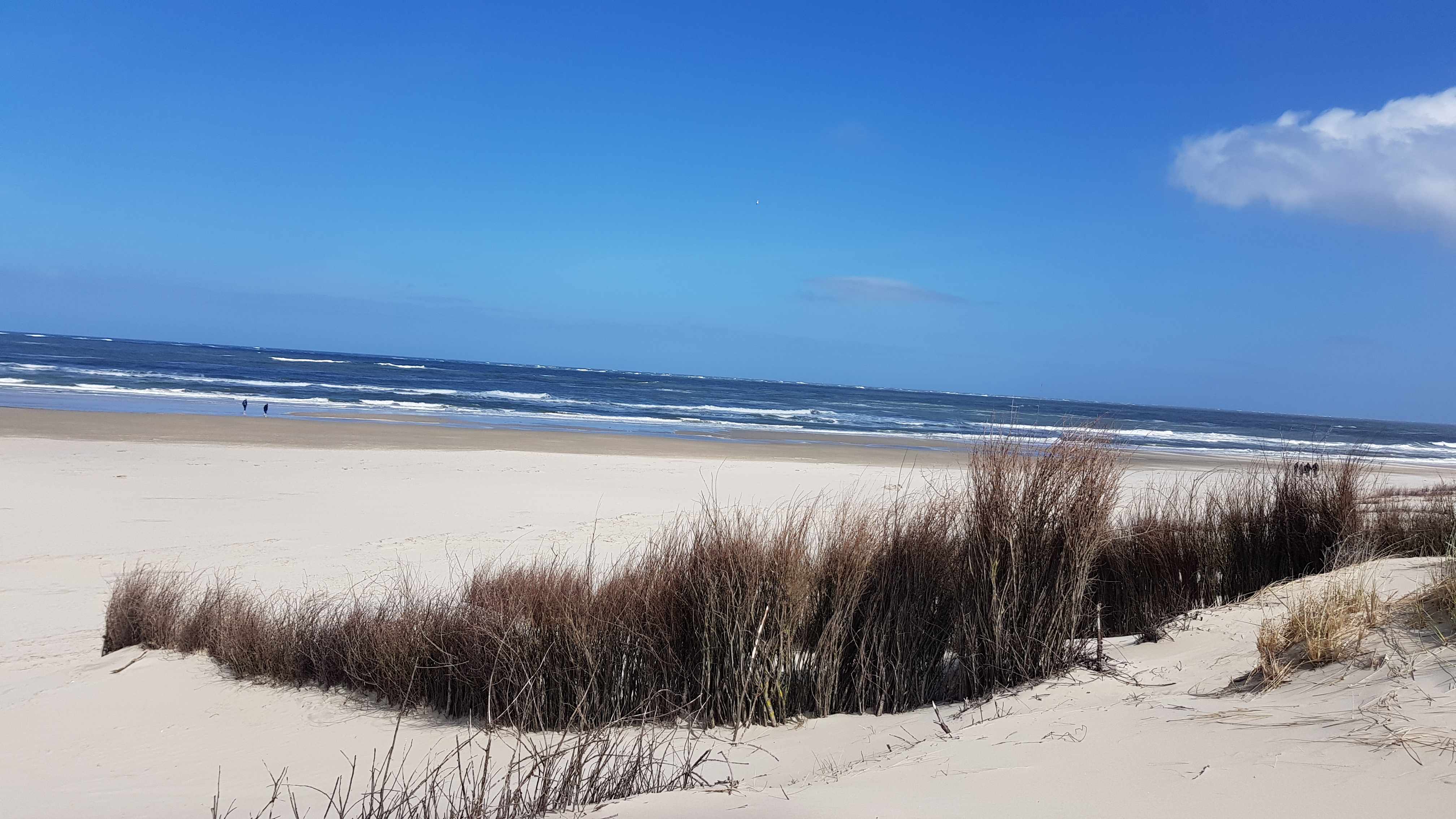 Bild »20240410_130227.jpg« aus Ordner